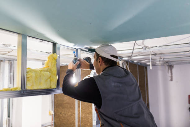 Best Attic Insulation Installation  in Slatington, PA