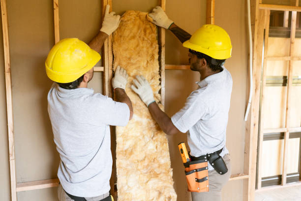 Best Local Insulation Services  in Slatington, PA