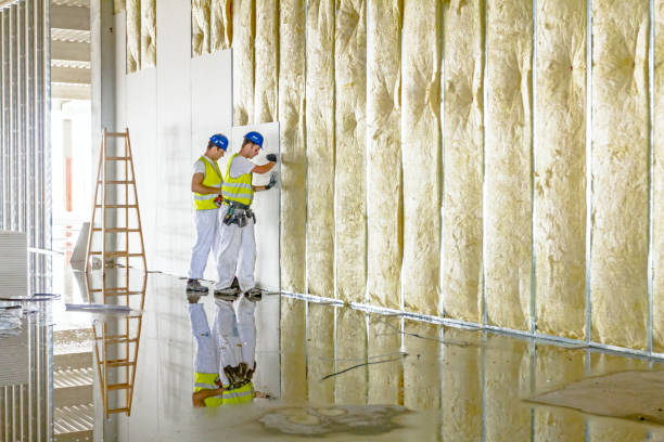 Insulation Replacement Services in Slatington, PA